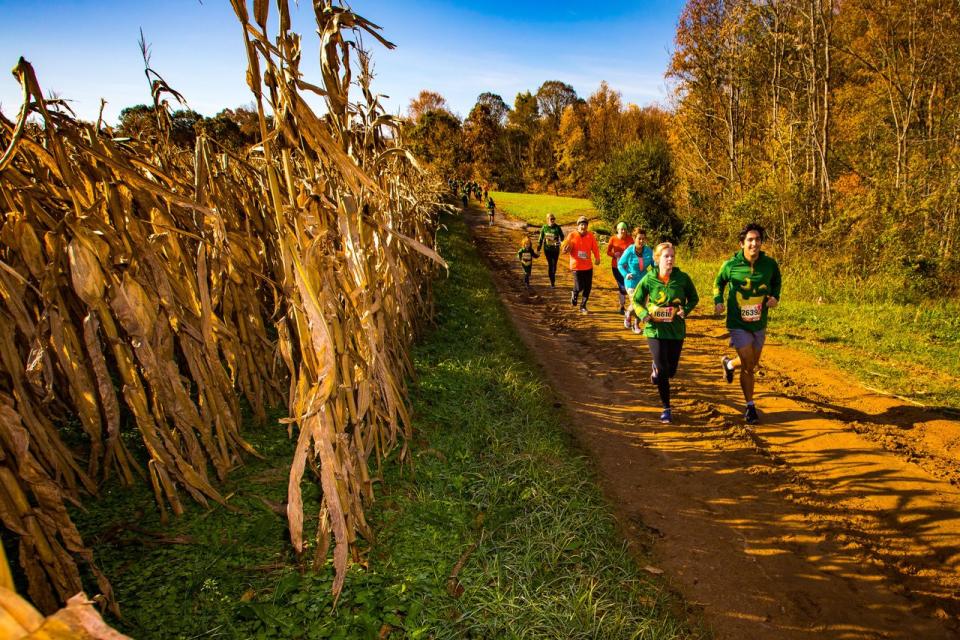 15) The Great Pumpkin Run