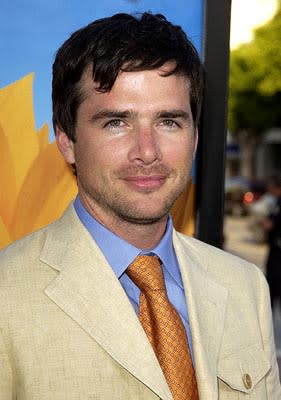 Matthew Settle at the LA premiere of Divine Secrets of the Ya Ya Sisterhood