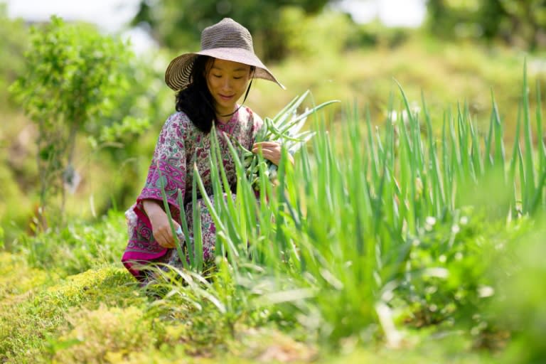 La youtubeuse Seen Aromi récolte des oignons verts près de chez elle, dans la province de Gyeonggi-do, le 29 mai 2024 en Corée du Sud (ANTHONY WALLACE)