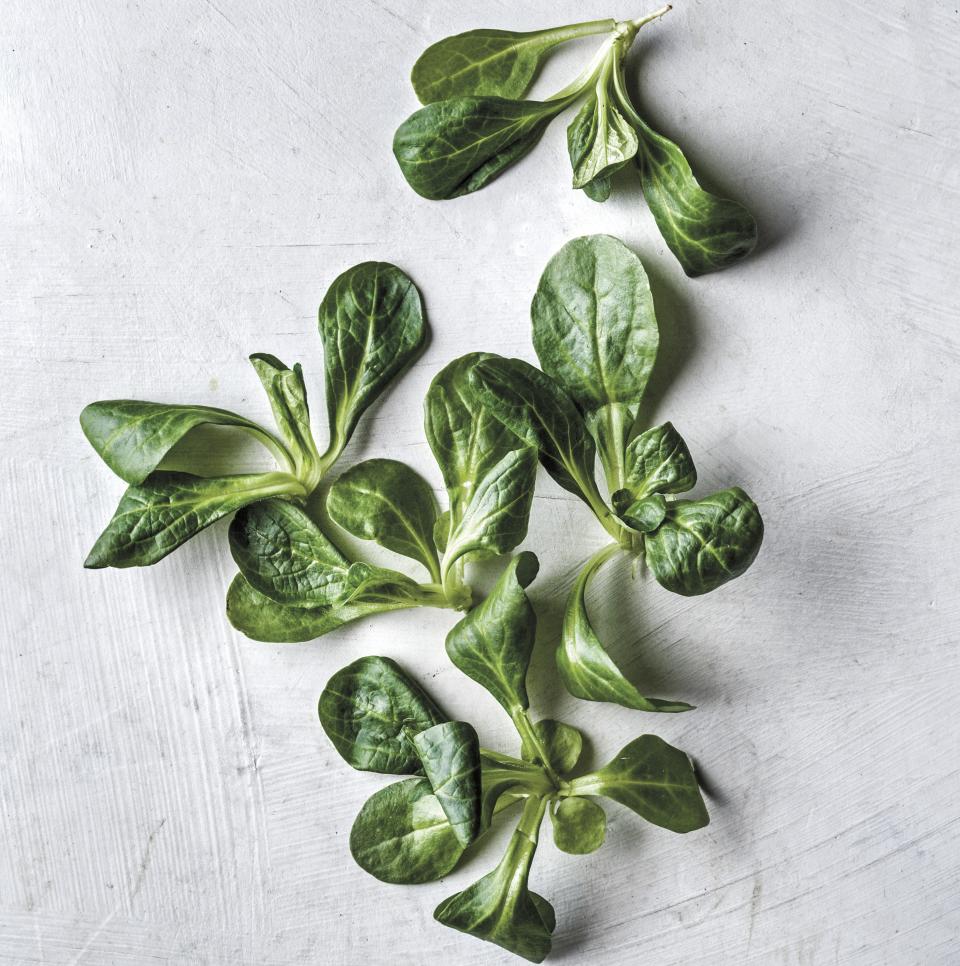 From arugula to watercress, we've got you covered.