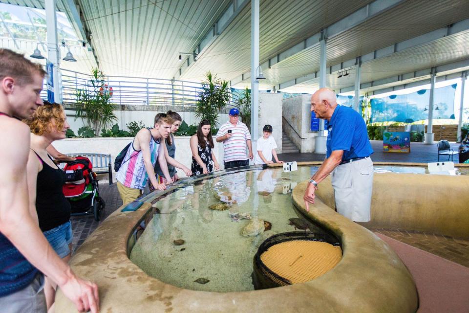 Mote Volunteer Jim Linke explains the "two finger touch" to aquarium visitors.