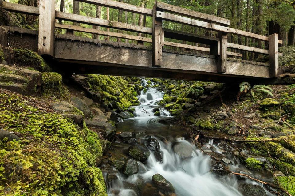 flowing stream under a bridge along the sol duc falls trail in olympic national park washington