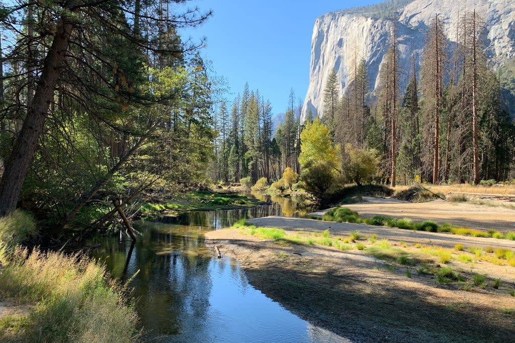 The family were found dead on a hiking trail near the Merced River in California (Tiago Velloso Unsplash)