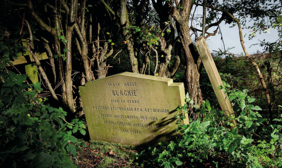 Gravestone of Blackie the war horse, Knowsley, Merseyside