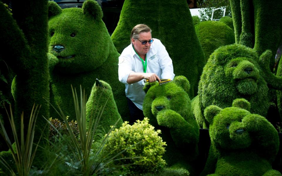 Anthony Gallagher tends to his Easigrass animals at this year's show - Credit: Geoff Pugh