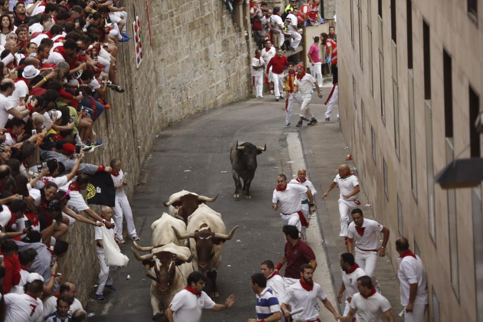 <p>Uno de los toros se queda rezagado en plena cuesta de Santo Domingo tras la negligencia de un joven que le despistó por detrás y le separó de la manada, este sábado en el segundo encierro de San Fermín (EFE) </p>