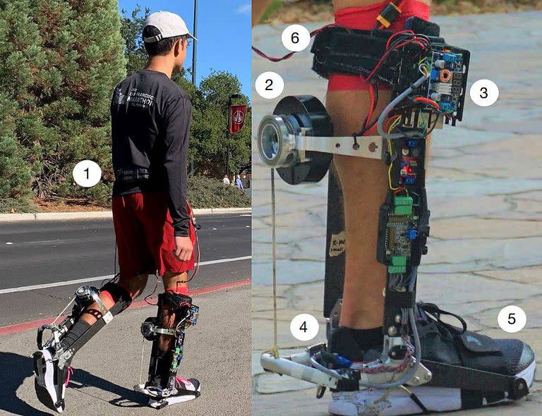 El exoesqueleto de tobillo portátil consta de (1) una batería que se lleva en la cintura, (2) un motor, un tambor y una cuerda de transmisión, (3) un sistema electrónico para recibir los datos de los sensores, mandar órdenes al motor y realizar la optimización, (4) una estructura de fibra de carbono y aluminio para transmitir las fuerzas, (5) zapatillas normales y (6) una correa en la pantorrilla para transferir las fuerzas al cuerpo