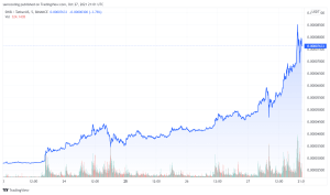 SHIB Shiba inu coin doge dogecoin elon musk vitalik buterin flippening