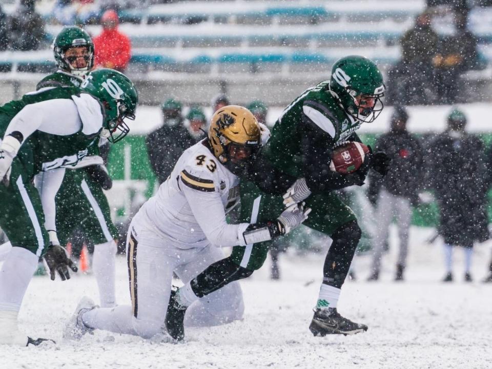 The University of Saskatchewan Huskies will move on to the 85th Hardy Cup after a 37-9 win over the University of Manitoba Bisons in Saskatoon on Saturday. (Electric Umbrella/Huskie Athletics - image credit)