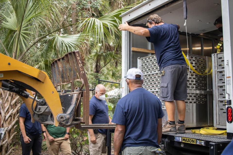 Brevard Zoo personnel unloaded three lions from Naples Zoo at Caribbean Gardens into their new home in the Wild Florida loop on Wednesday.