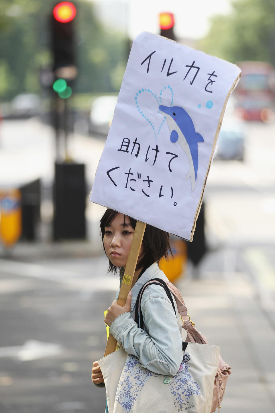 Protestors Demonstrate Outside The Japanese Embassy As Dolphin Hunting Begins