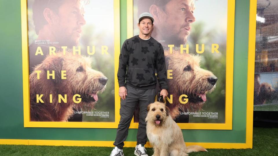 New Mark Wahlberg Movies: Los Angeles Special Screening And Adoption Event For Lionsgate's 