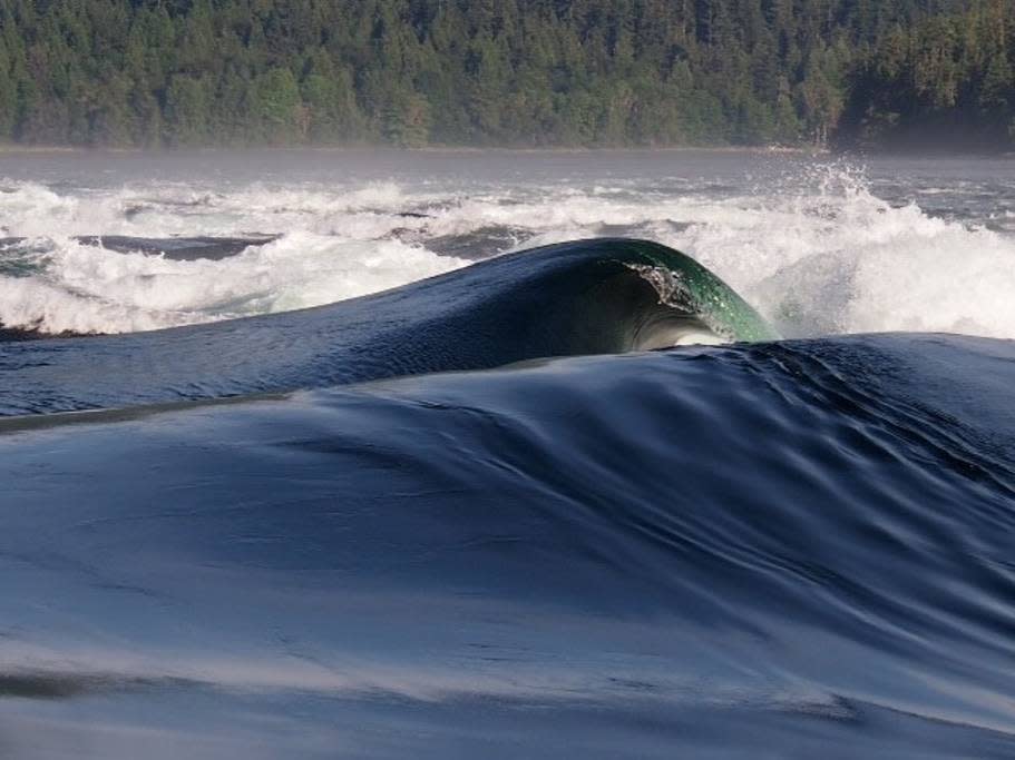 <p>The turbulent tidal changes are clearly visible from the nearby Skookumchuck hiking trail. <br>(Airbnb) </p>