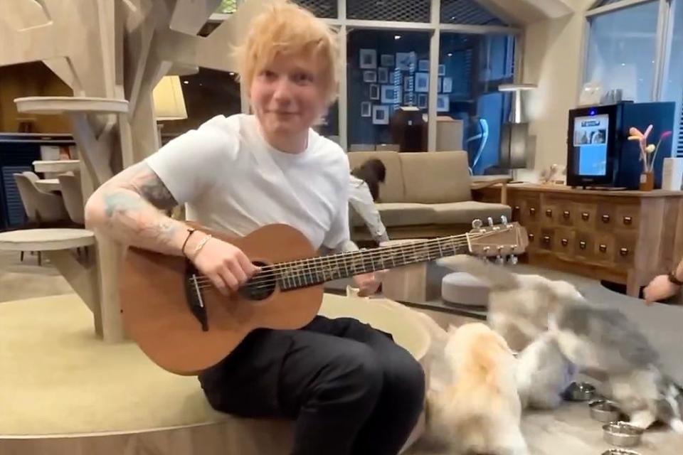 <p>Ed Sheeran/Instagram</p>