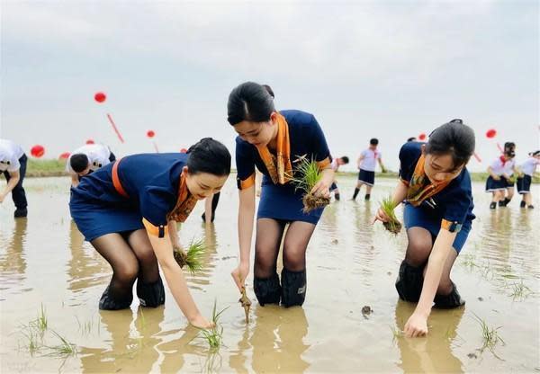 中國青島航空空姐穿著全套制服、黑絲襪下田。（民航資源網）