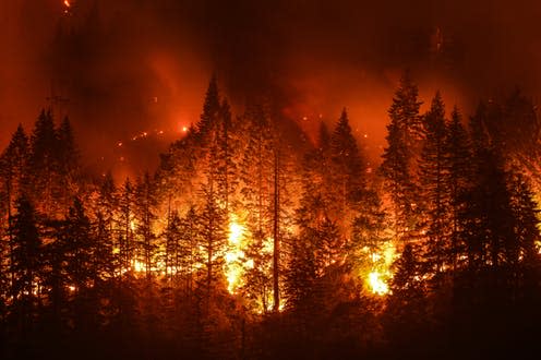   <span class="attribution"><a class="link " href="https://www.shutterstock.com/image-photo/eagle-creek-wildfire-columbia-river-gorge-710588278?src=50d151f1-a38e-41b6-b116-72270ea435e8-1-0" rel="nofollow noopener" target="_blank" data-ylk="slk:Christian Roberts-Olsen/Shutterstock;elm:context_link;itc:0;sec:content-canvas">Christian Roberts-Olsen/Shutterstock</a></span>