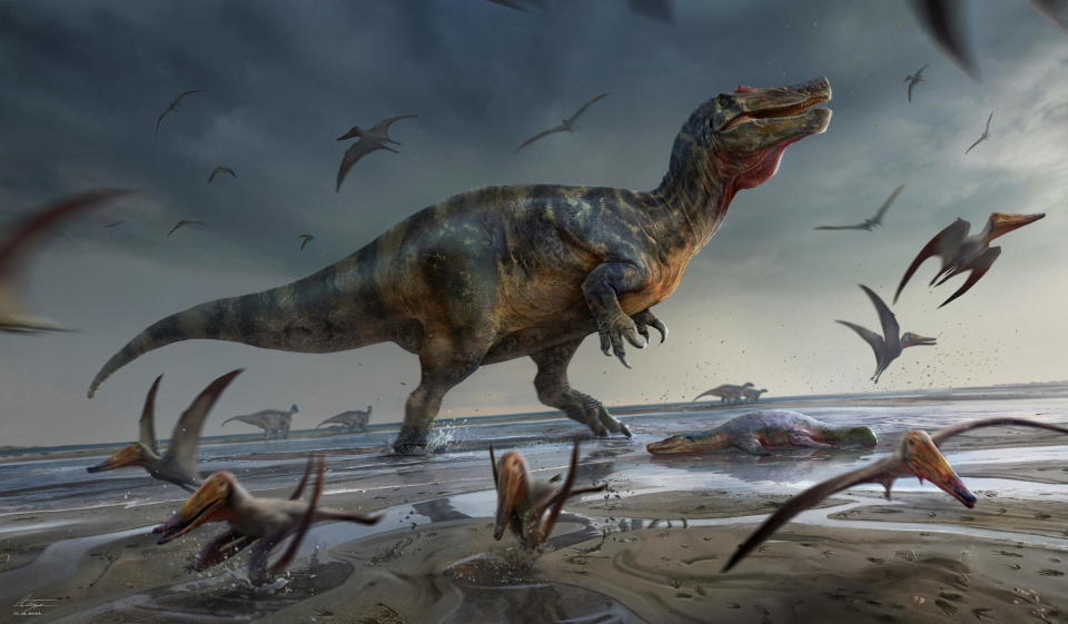 Artist's illustration shows a large meat-eating dinosaur dubbed the 