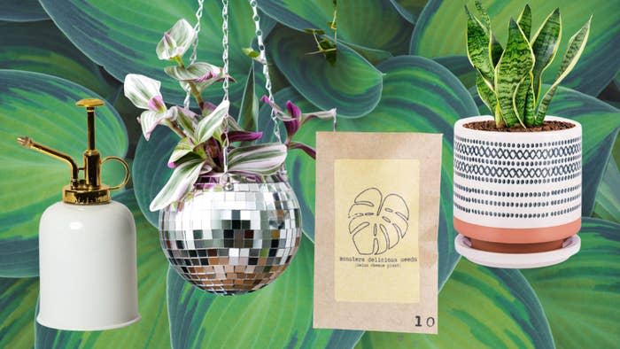 A metal plant mister, disco ball hanging planter, some ﻿Monstera deliciosa seeds and a ceramic pot with drainage.