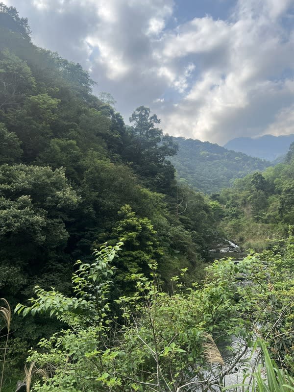 新北三峽的滿月圓國家森林遊樂區，距離三峽市區僅40分鐘，是北部人踏青旅遊的好去處。   圖：取自滿月圓國家森林遊樂區臉書