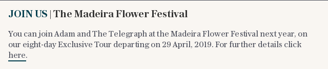 JOIN US | The Madeira Flower Festival