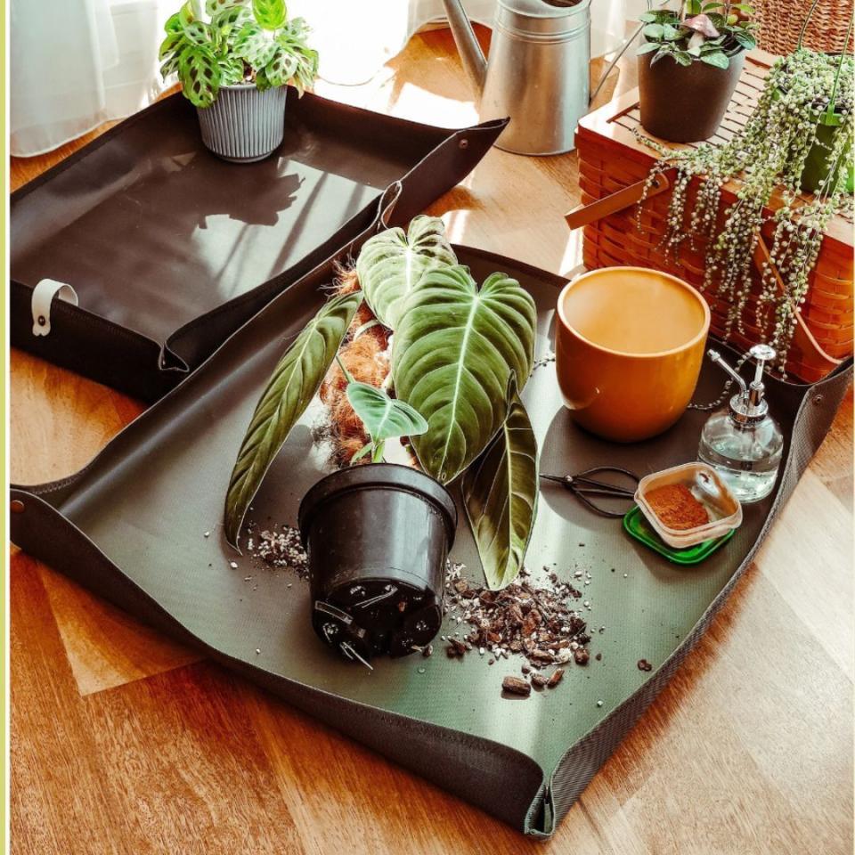 This potting mat is the perfect gift for indoor greenspace keepers who may not have a lot of outdoor area to pot their plants. Made from waterproof material, it snaps together at the corners to make a tray, great for keeping messes on the mat and not on the floor. After use, it can be unsnapped, folded up and stored.You can buy this waterproof potting mat from Etsy for around $31.