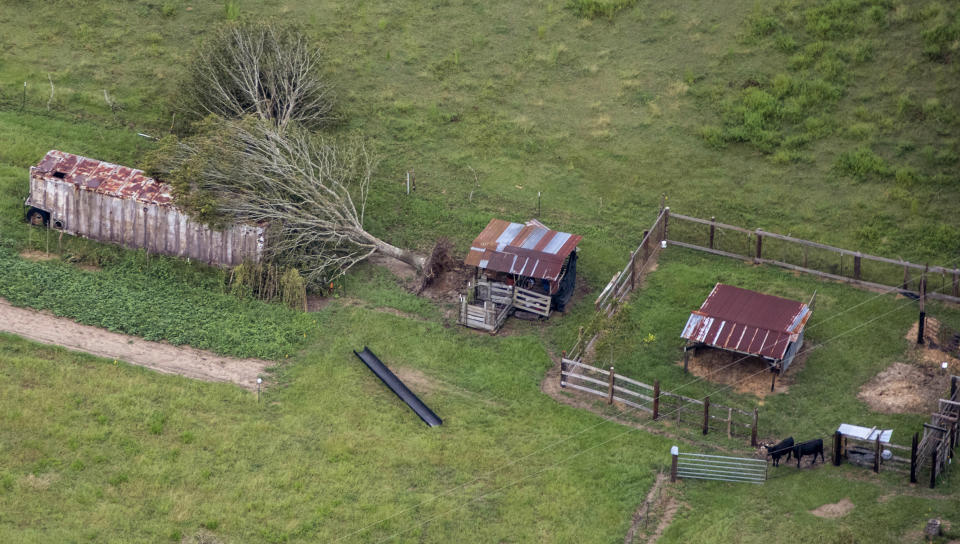 A tree lies toppled after Hurricane Laura, Friday Aug. 28, 2020, near DeRidder, La., as seen during Gov. John Bel Edwards' aerial tour of stricken areas in the northern part of the state. (Bill Feig/The Advocate via AP, Pool)