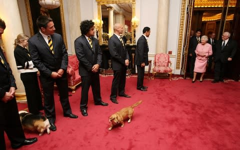 A corgi passes between two rugby players in 2007 when The Queen greeted internationals  - Credit: Tim Graham Picture Library/Getty