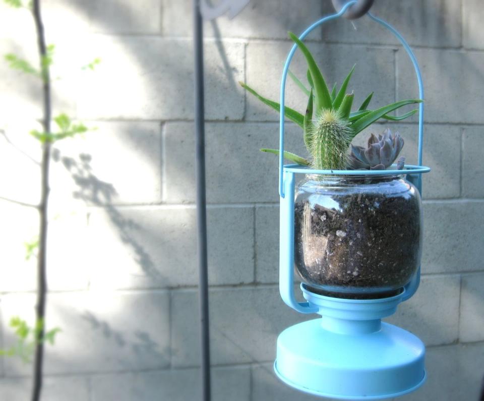 Hang a Tiny Garden