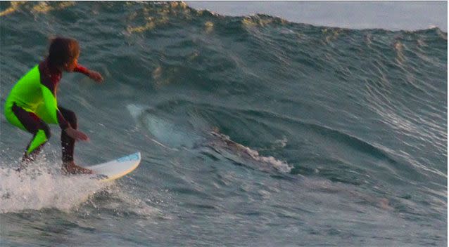 Incredible pictures show 10-year-old Eden Hasson surfing beside a 2.5 metre shark off the NSW north coast. Pictures: Chris Hasson/Facebook