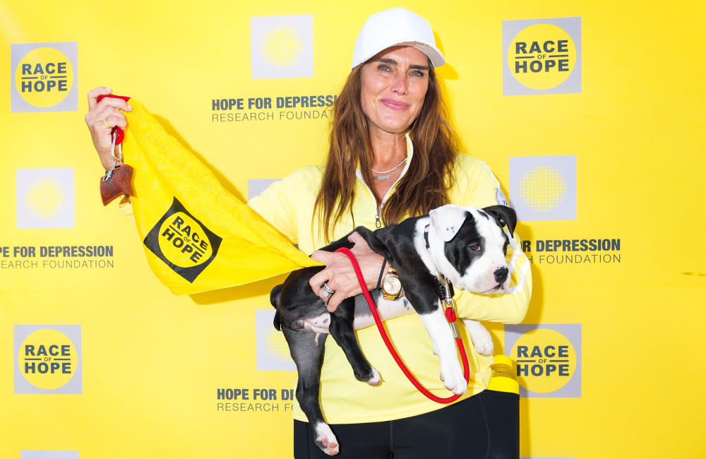 Brooke Shields reportedly picked out her rescue puppy as she had a twisted tail and ‘no one else wanted’ the animal credit:Bang Showbiz