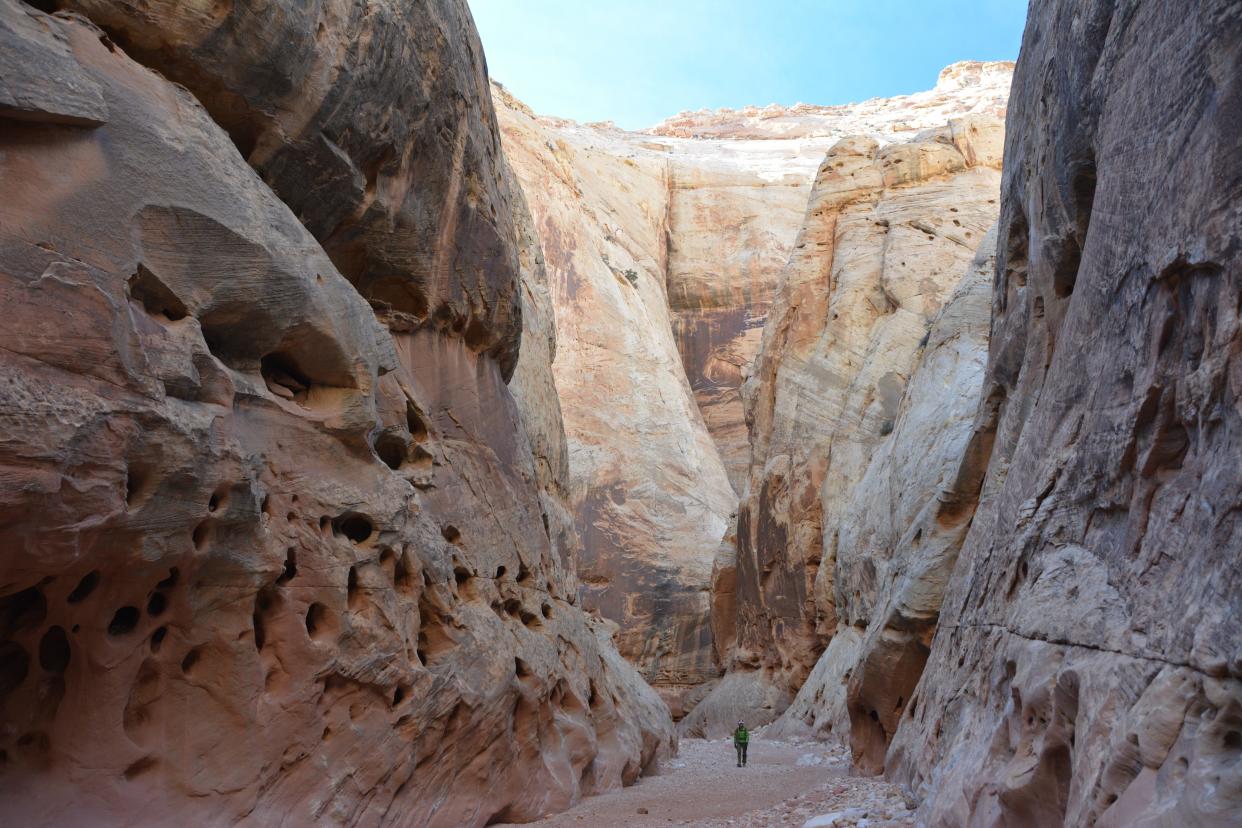 Grand Wash takes hikers into deep canyons at Capitol Reef National Park.
