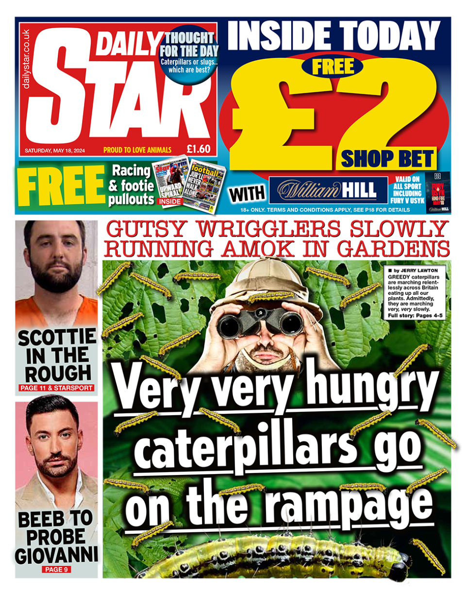 The headline in the Daily Star reads: "Very very hungry caterpillars go on the rampage".