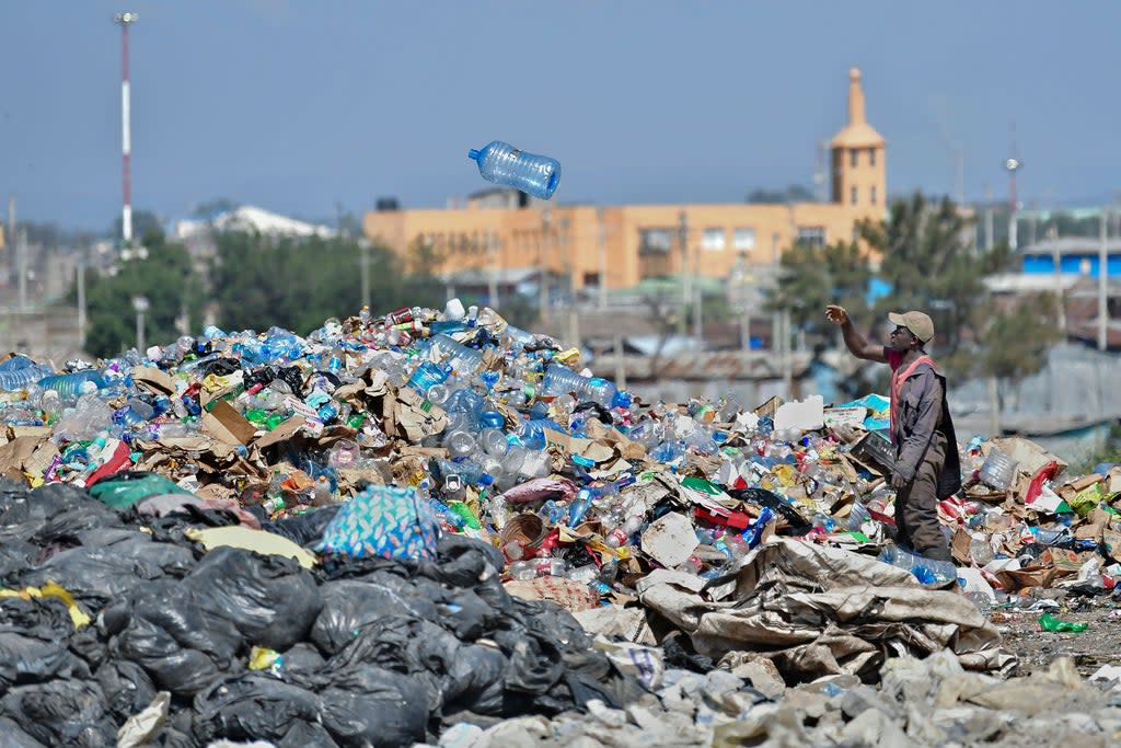 A waste picker sorts through plastic bottle waste at the Dandora garbage dump where people scavenge through the landfill for re-usables and recyclables that can be re-sold in Nairobi on February 26, 2022  (AFP via Getty Images)