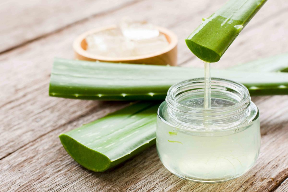 Como hacer gel de aloe vera puro casero