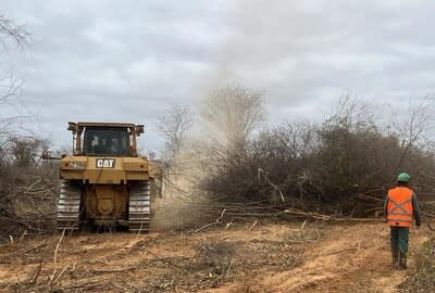 Land Suppression and Clearing for Phase 2 operations at Grota do Cirilo.