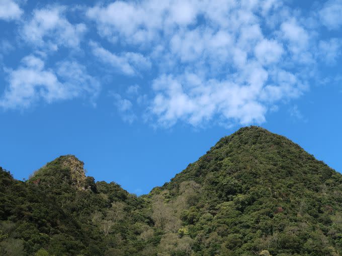 東眼山獨處時光　開放線上報名