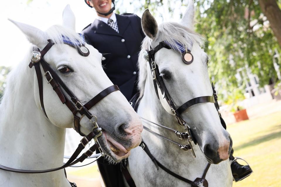 The PDSA commended Met Police horses Grace and Peston for their lengthy service including during the 2011 London riots (PDSA)