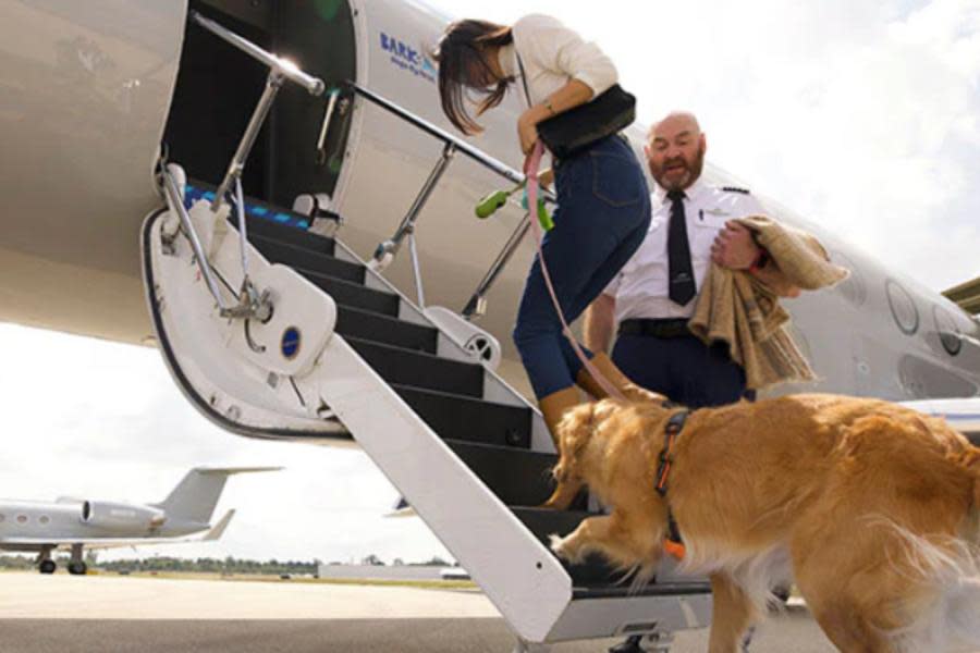  Lanzan en EE. UU. aerolínea exclusiva para mascotas y sus dueños