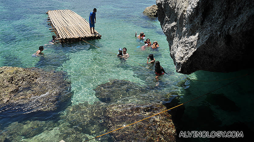 Swimming in the cove