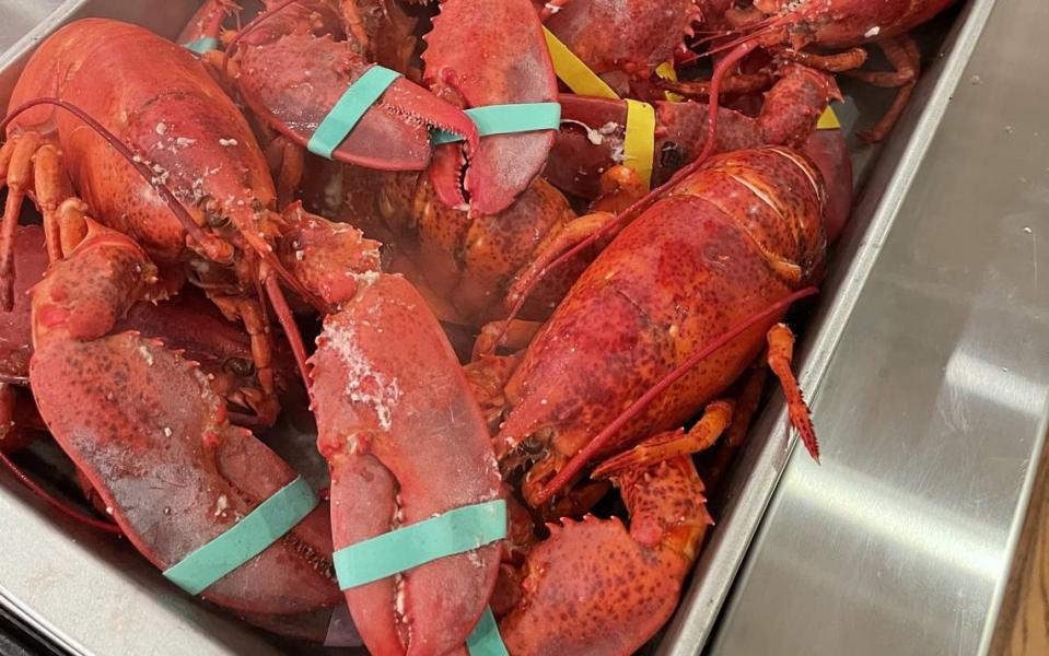 Fresh whole lobsters are among the shellfish available at The Blind Tiger’s Butcher Shop and Seafood Market in the Depot District at Bay St. Louis