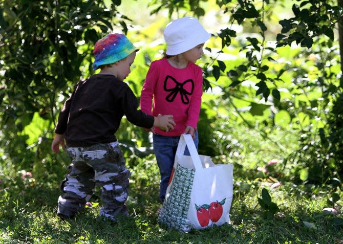 Twins James, left, and Grace Savoie, 2, of North Smithfield, help fill a bag with apples at Phantom Farms in Cumberland.