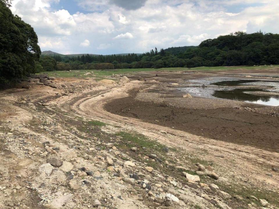 The ‘drowned village’ about to be exposed at Burrator Reservoir (Alex Hillman / SWNS.com)