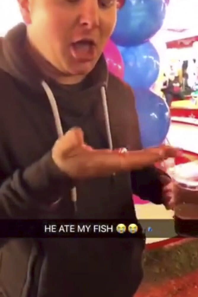 Joshua Coles, 27, of Tiverton, Devon, was filmed swallowing a goldfish which had been won at Bridgwater Fair last year. He was fined £300 and banned from keeping fish for five years. The fair has confirmed it will no longer offer fish as prizes. (SWNS)