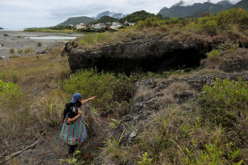 The Wider Image: Taiwan plant hunters race to collect rare species before they are gone