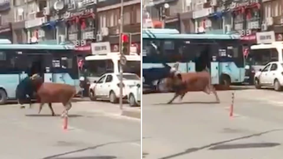 The woman is thrown up into the air by the force of the attack. Photo: Live Leak