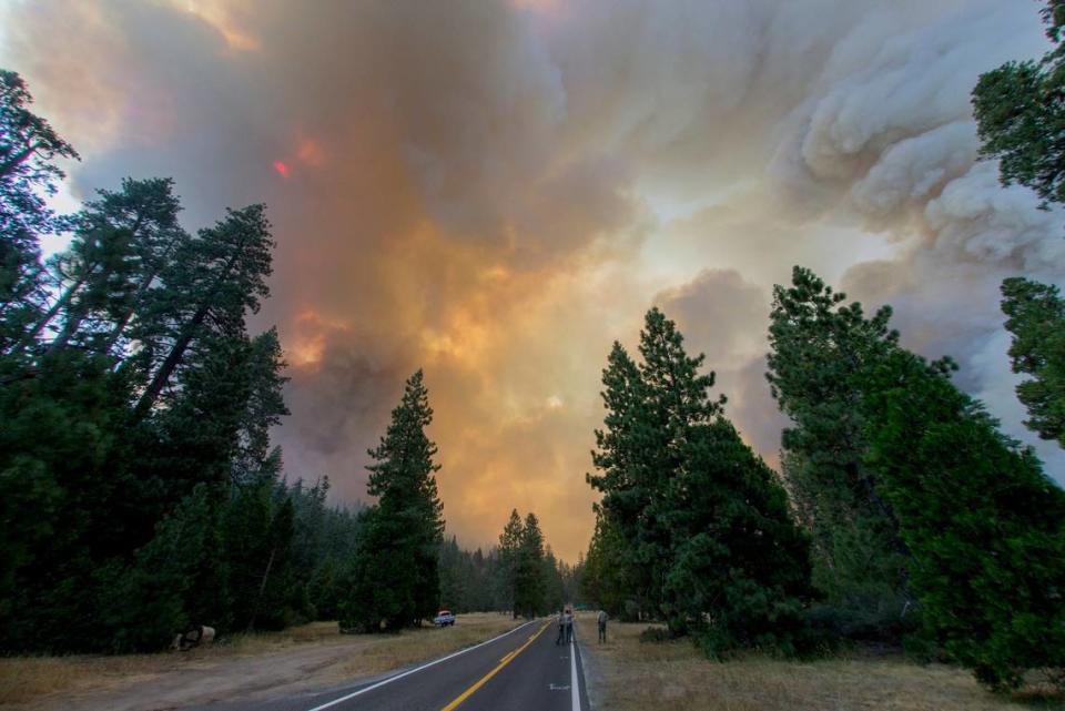 A fisheye view of the Donnell fire as it surrounds Highway 108 near the Dardanelle Resort in Tuolumne County on Sunday, Aug. 5, 2018.