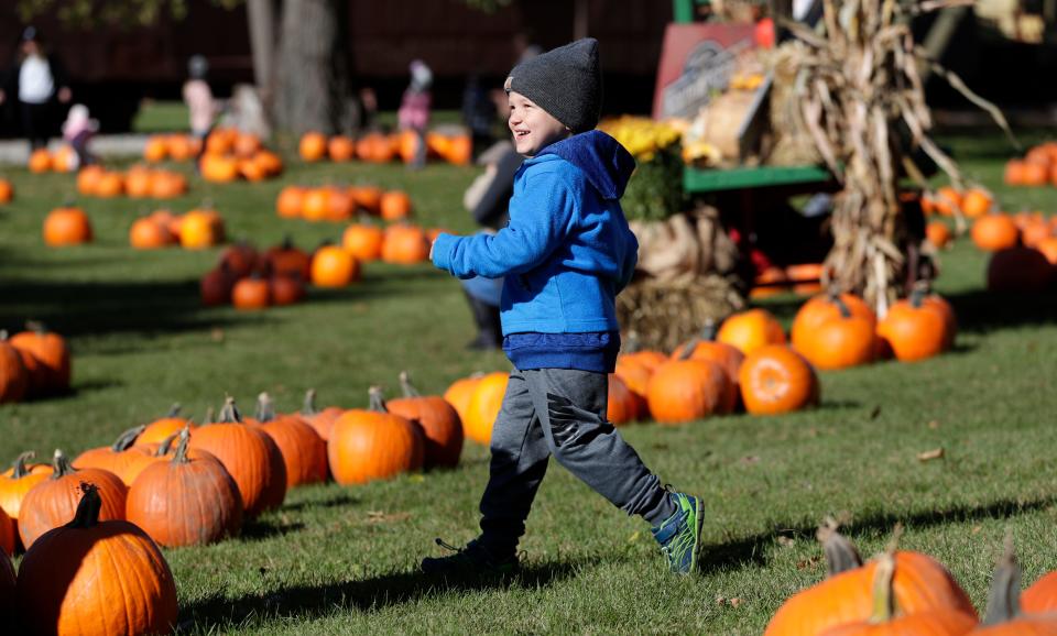 Decisions, decisions. Picking a pumpkin is part of the fun of the National Railroad Museum's Great Pumpkin Train Oct. 14 and 21.