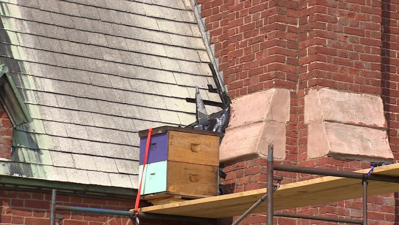 Bees removed from home in church roof