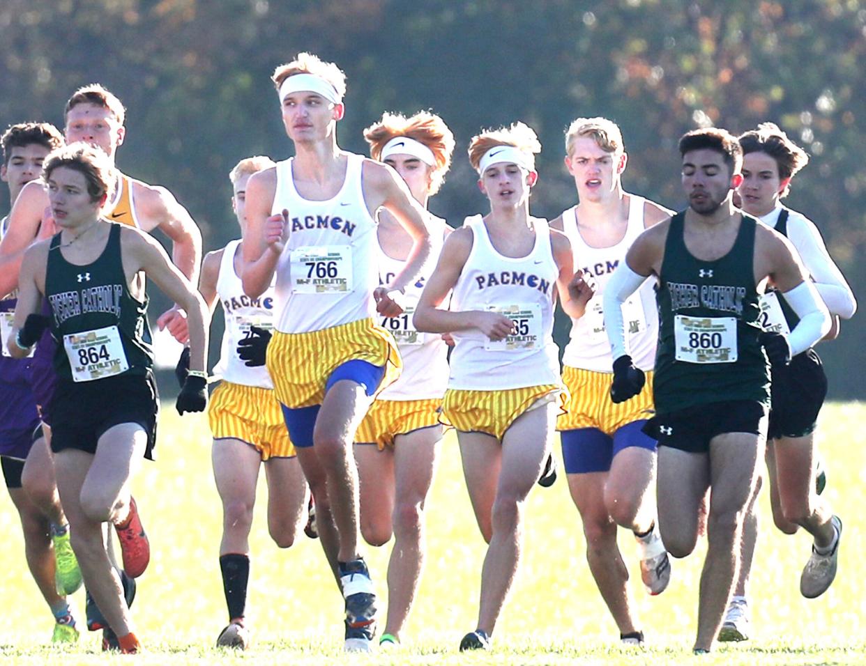East Canton's Gabe Shilling leads the team at the start of the Div. III Boys Cross Country Championship at Fortress Obetz.
