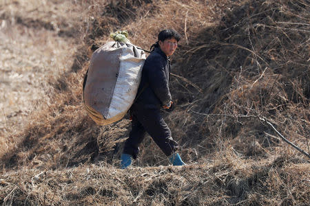 FILE PHOTO: A woman carries a bag on her back on the North Korean side of the Yalu River near Sinuiju, North Korea, March 31, 2017. REUTERS/Damir Sagolj/File Photo